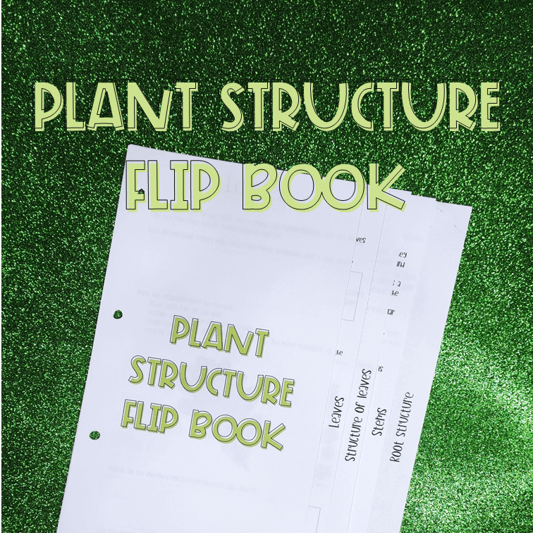 Plant structure flip book