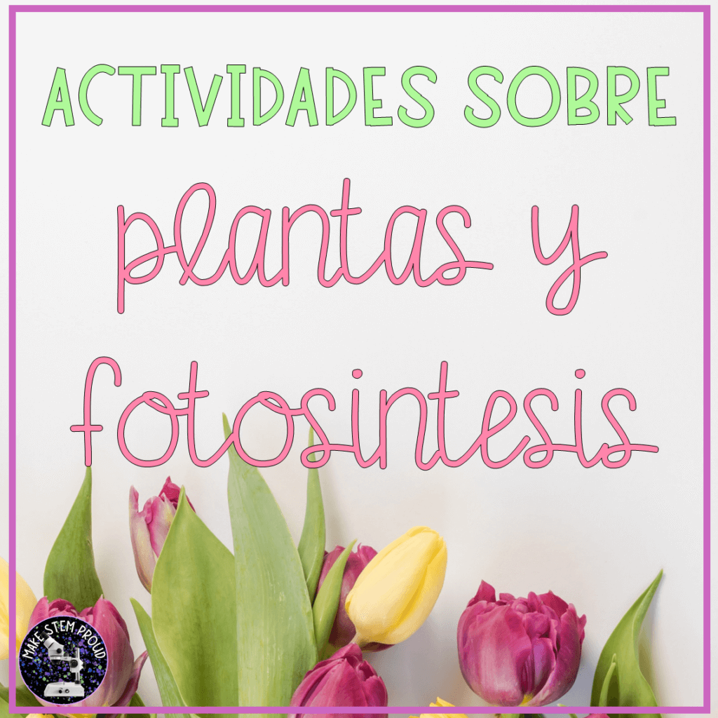 tulipanes con un texto escrito: actividades sobre plantas y fotosíntesis
