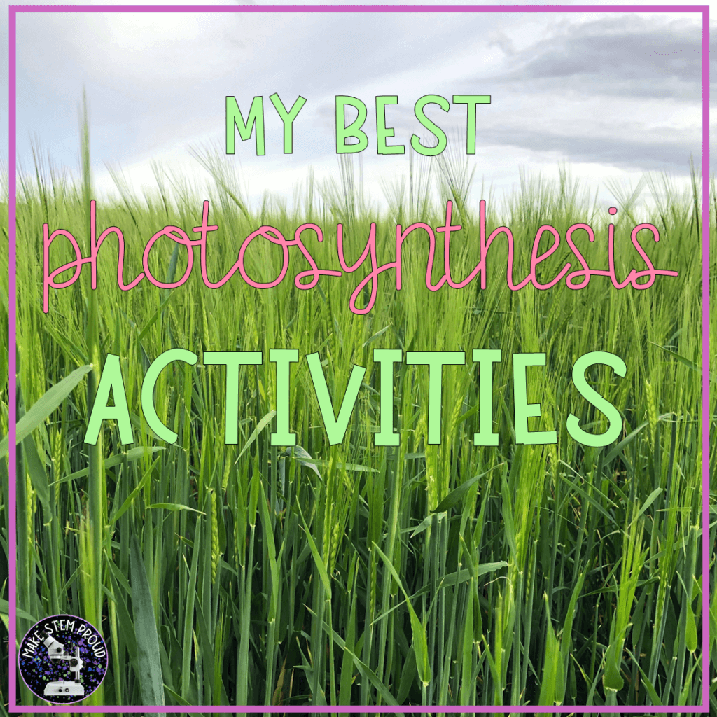 Field of wheat with the title "my best photosynthesis activities". 