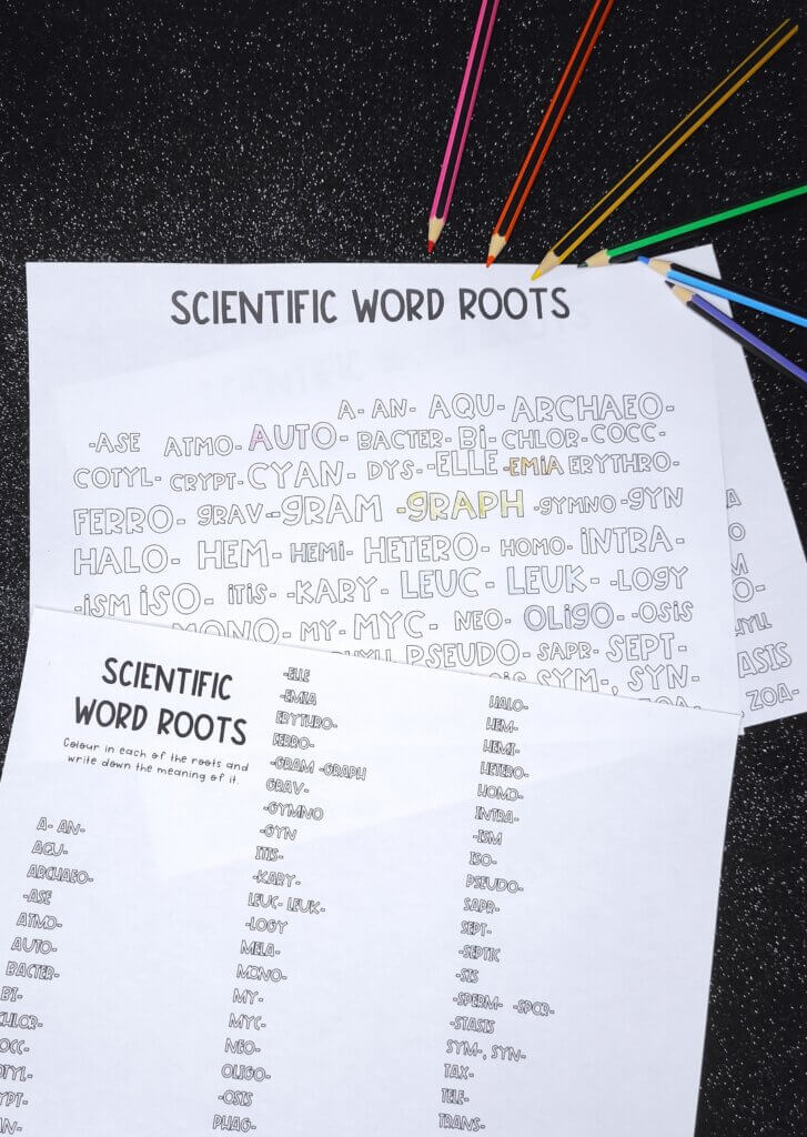 Introducing new science vocabulary activities: easy system for teaching scientific word formation