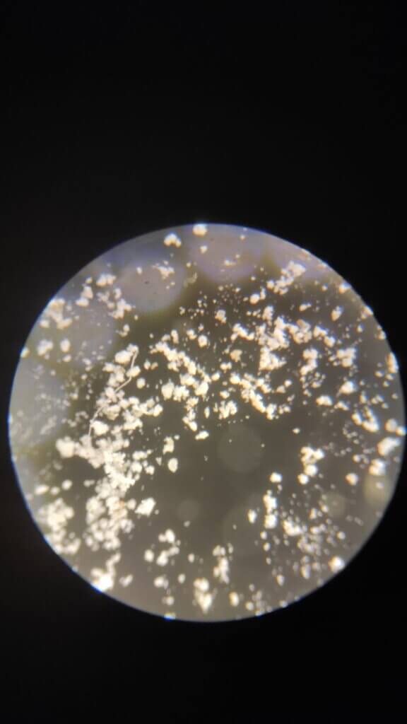 Que ver al microscopio: arena a baja magnificación. 